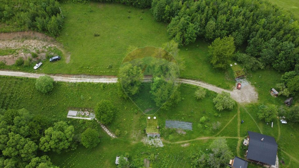 6,2 ha + business turistic activ | Munții Apuseni