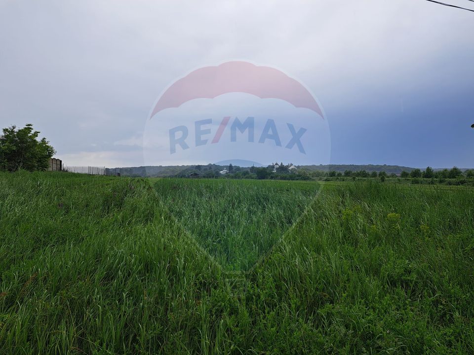 Teren Ciolpani 15.000 mp oportunitate posibilitate lotizare 5000 mp