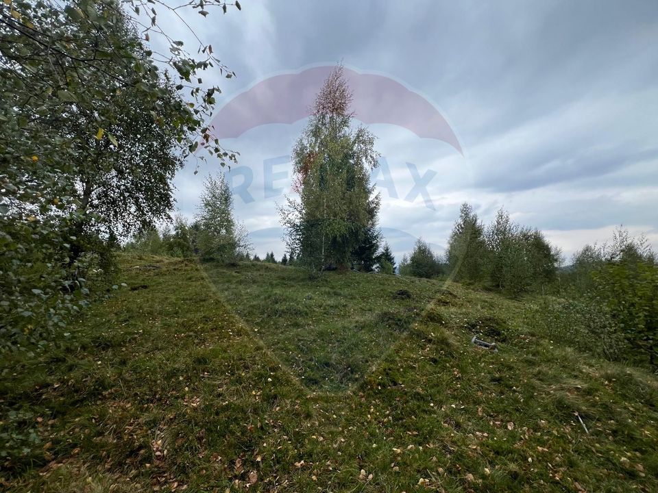 Teren extravilan parcelabil Călățele Pădure, zona Dealu Negru