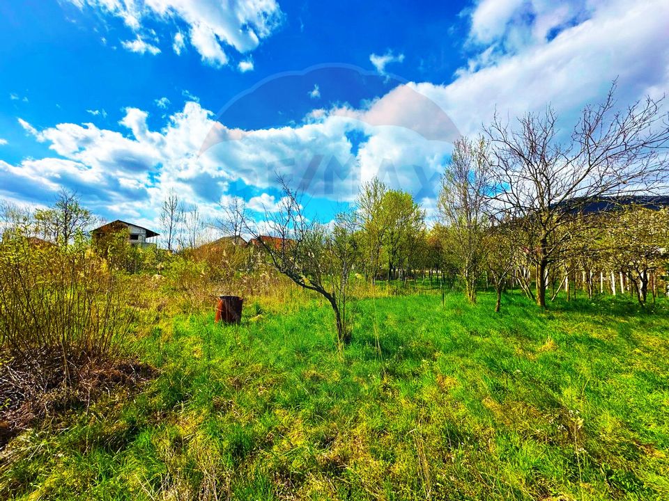 ZONA PREMIUM-teren pentru CONSTRUCTIE BLOCURI/LOCUINTE MIXTE