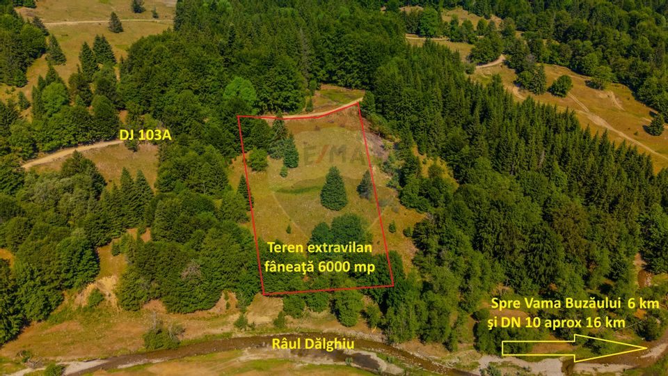 Land 6,000sqm Dalghiu / DJ 103A