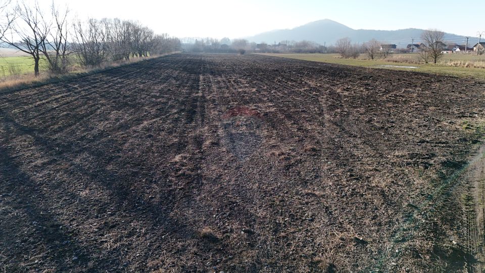 Teren extravilan cu potențial ridicat rezidential/industrial | Hărman