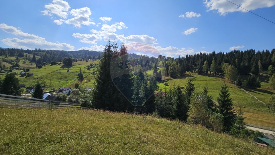 Casă / Vilă de vacanta in Dorna Arini, Suceava