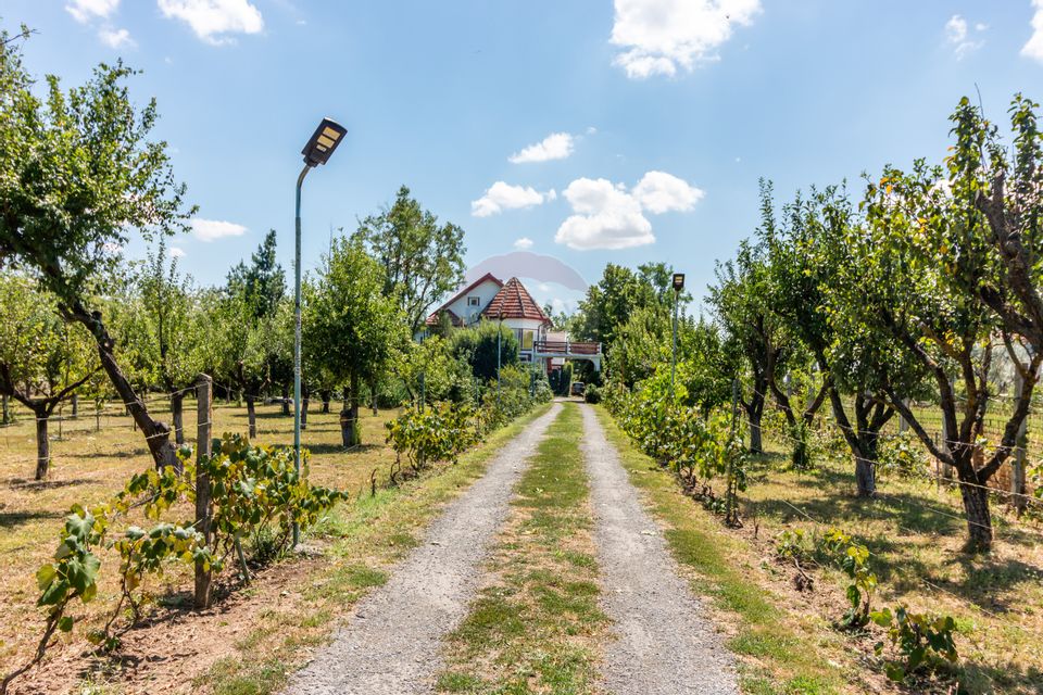 Casa+Laborator+ Teren 12.700 mp + casa de vacanta - Bolintin Vale
