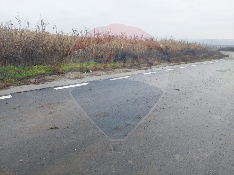 Teren intravilan de vanzare – Nicolae Balcescu, jud. Bacau