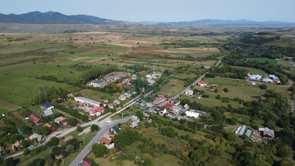 Teren 10.000 mp Calatele – Apuseni, langa rau, ideal investitie turism