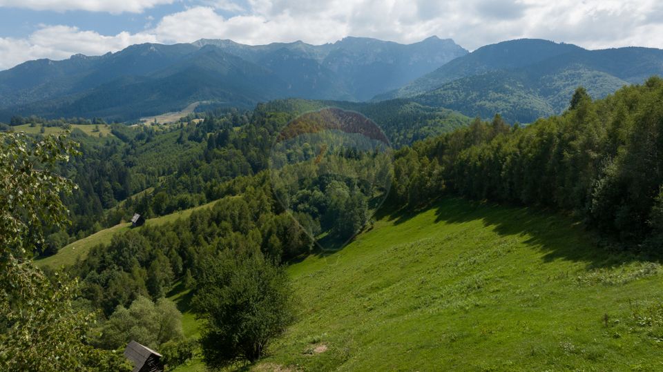 Teren Panoramic in Bran – Vedere spre Bucegi & Piatra Craiului