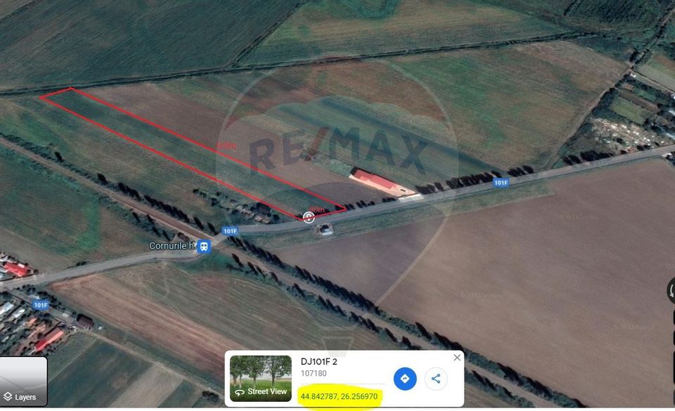 Land Cornu de Sus (Dumbrava) - 10.000sqm