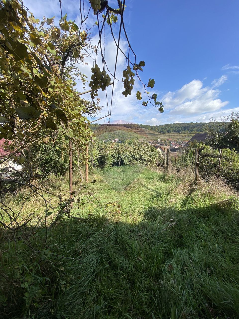 Casă cartier Mosnei