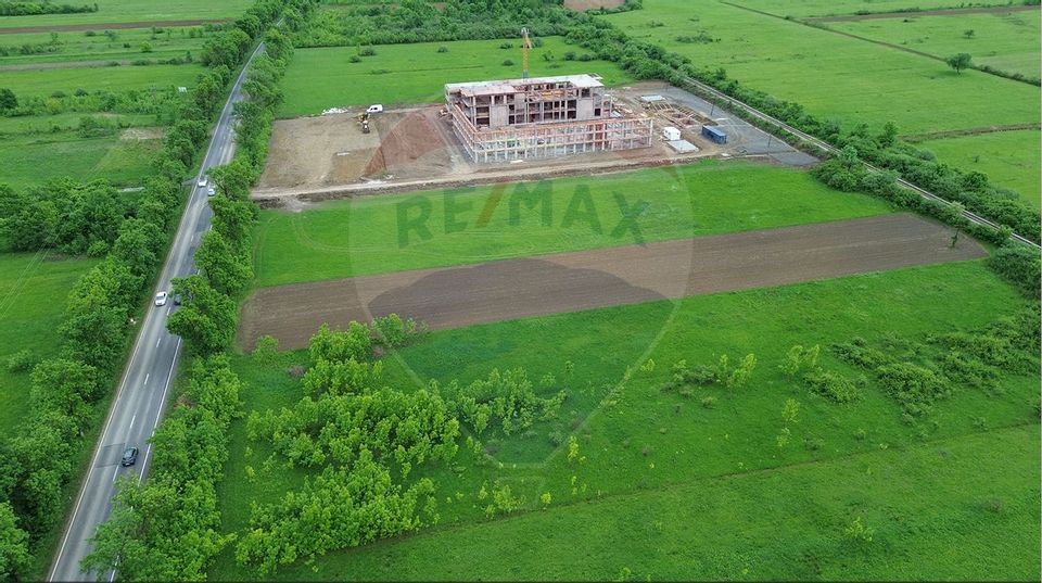 Teren 4,000mp Cicarlau / Strada Principala intravilan