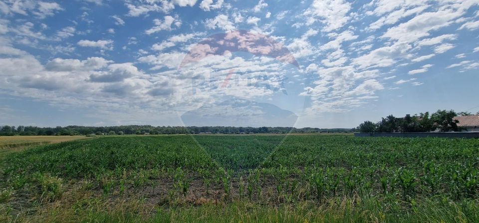 Land 10,001sqm Oniscani / None