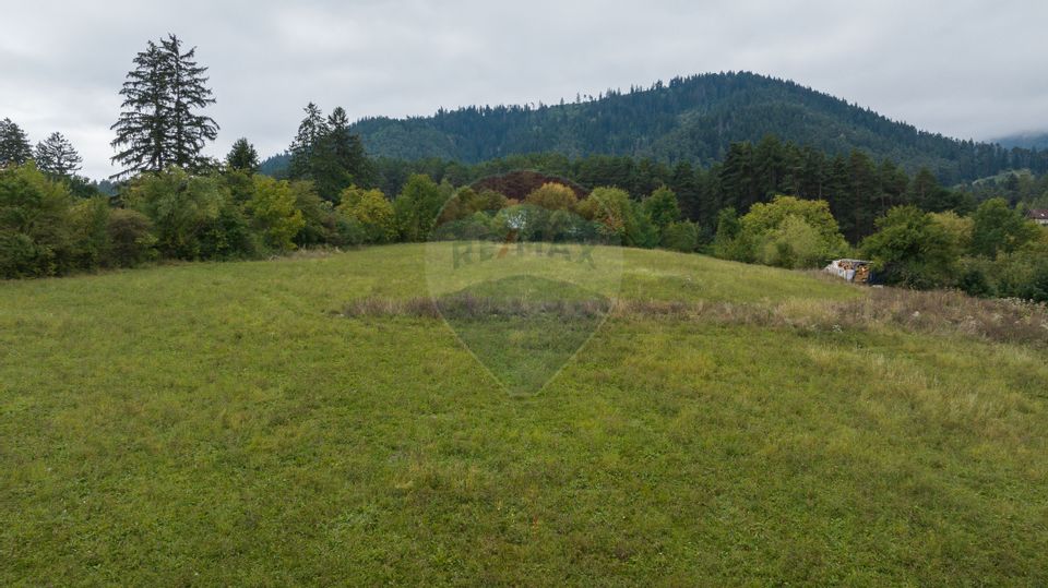 Land 726sqm Sacele / Strada Timocului