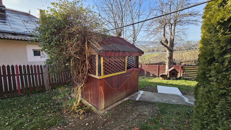 Casă / Vilă cu 3 camere de vânzare-Cacica-Suceava