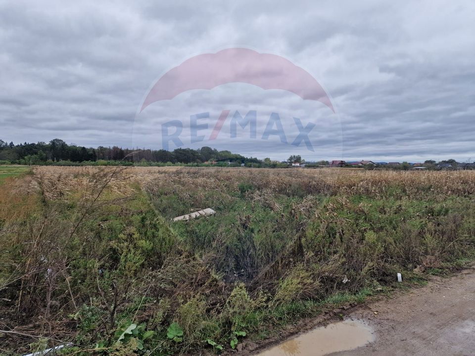 Land 3,555sqm Hemeius / Strada Gradinarilor