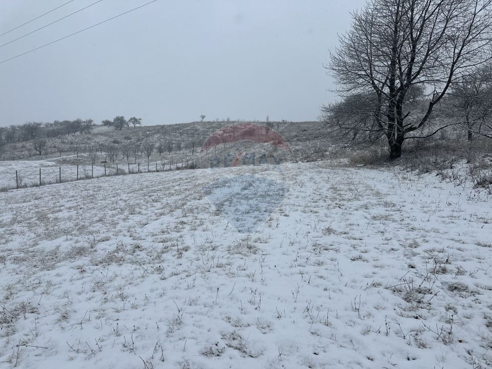 Land 8,300sqm Negresti (Dobreni) / Drumul DEALUL OTEL