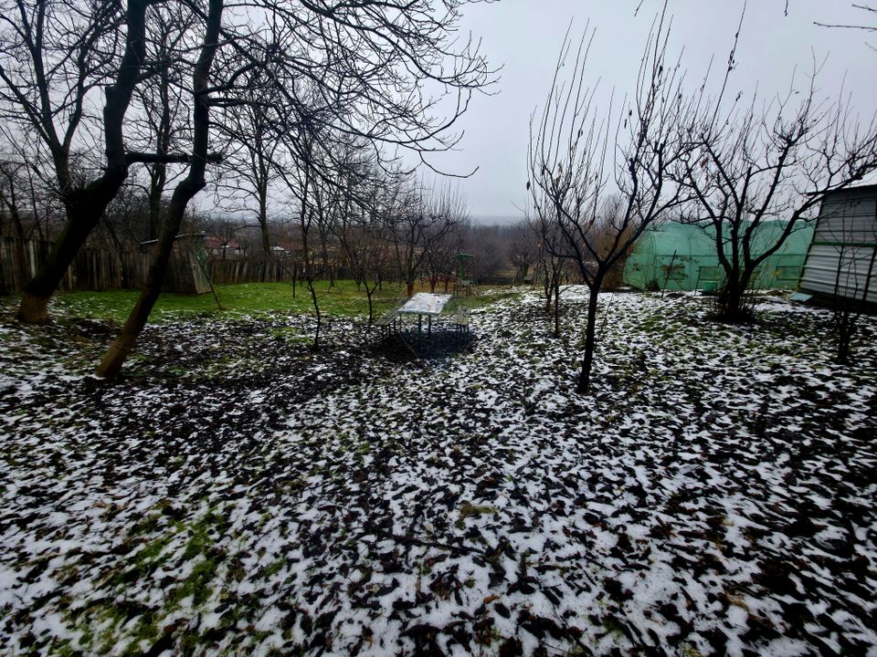 Land 4,516sqm Doina / Strada PRINCIPALA