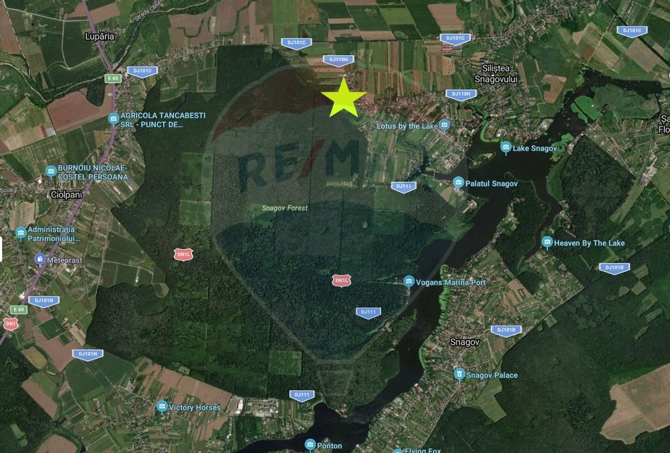 Teren intravilan, 450mp, Gruiu/Ilfov