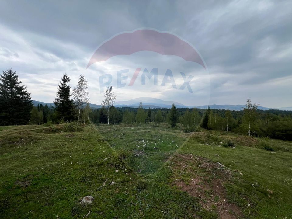 Teren extravilan parcelabil Călățele Pădure, zona Dealu Negru