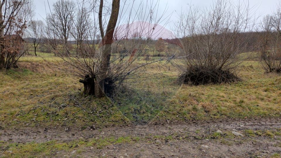 Land 2,932sqm Sarbi (Budesti) / Drumul Principal