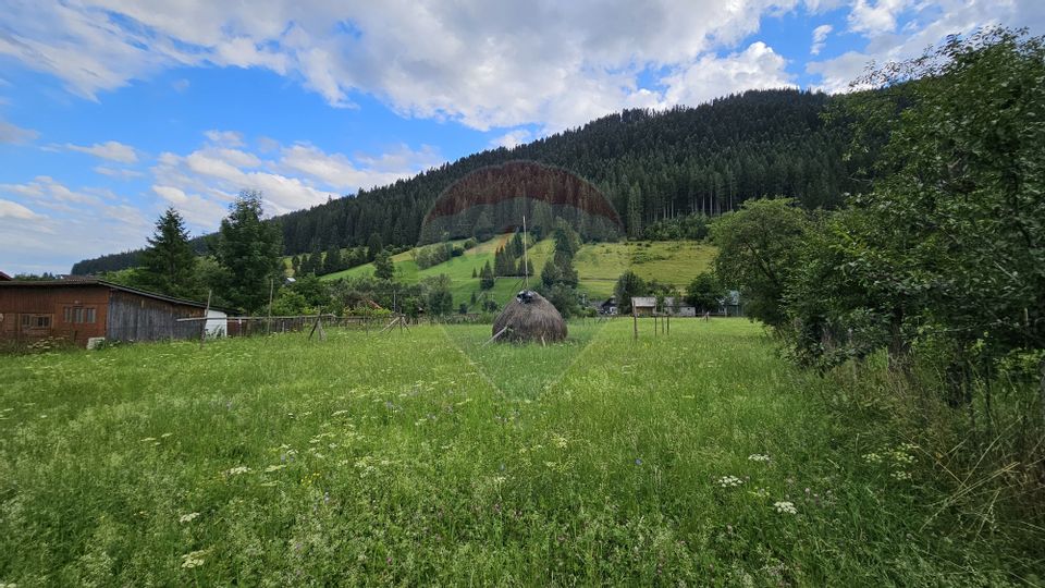 Casa 225 mp, teren intravilan 4822 mp C. Moldovenesc, Suceava