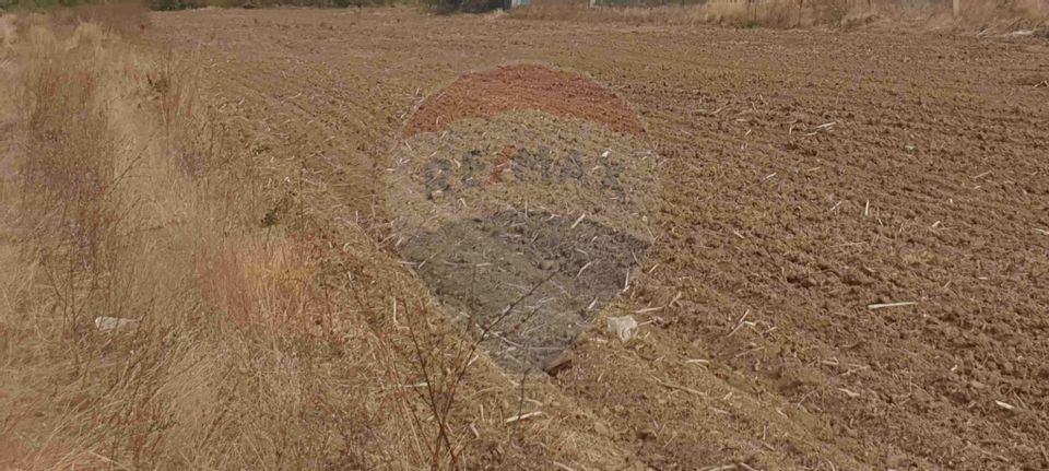 Teren intravilan 3,261mp Balotesti / Strada Rozelor