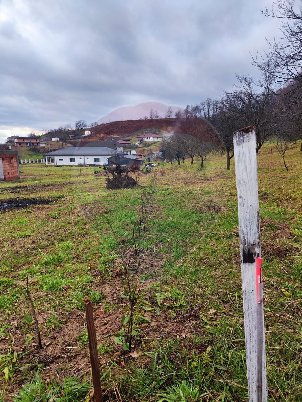 De vânzare teren intravilan, ideal pentru casa ta!