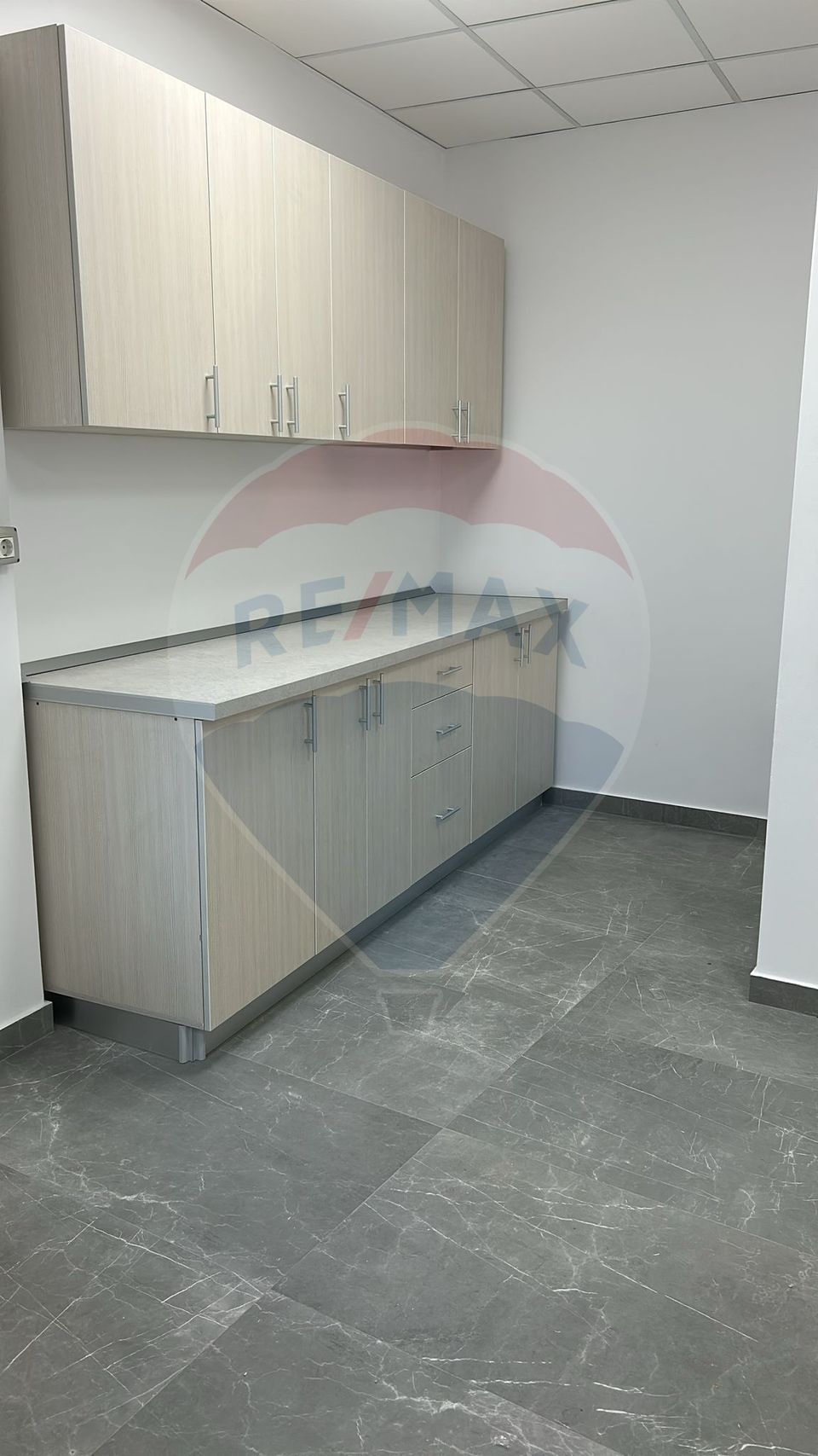 Office space Palace Hall - Cismigiu