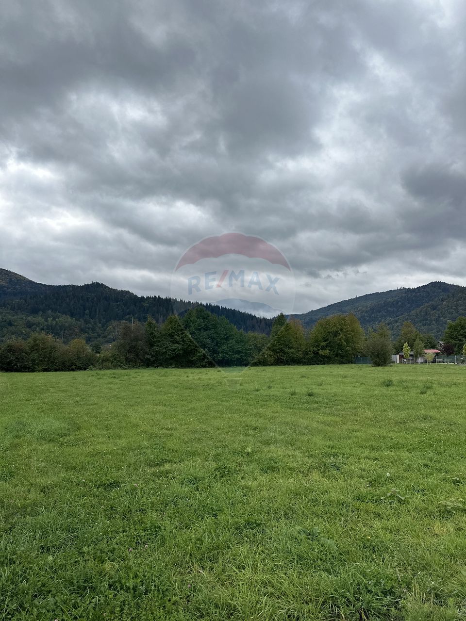 Land 1,023sqm Vadurele (Alexandru cel Bun) / Strada Stejarilor