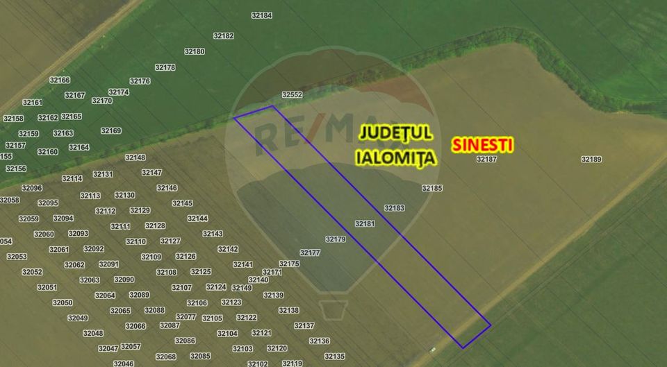 Teren 8,814mp Sinesti / Drumul Tarla 226/1