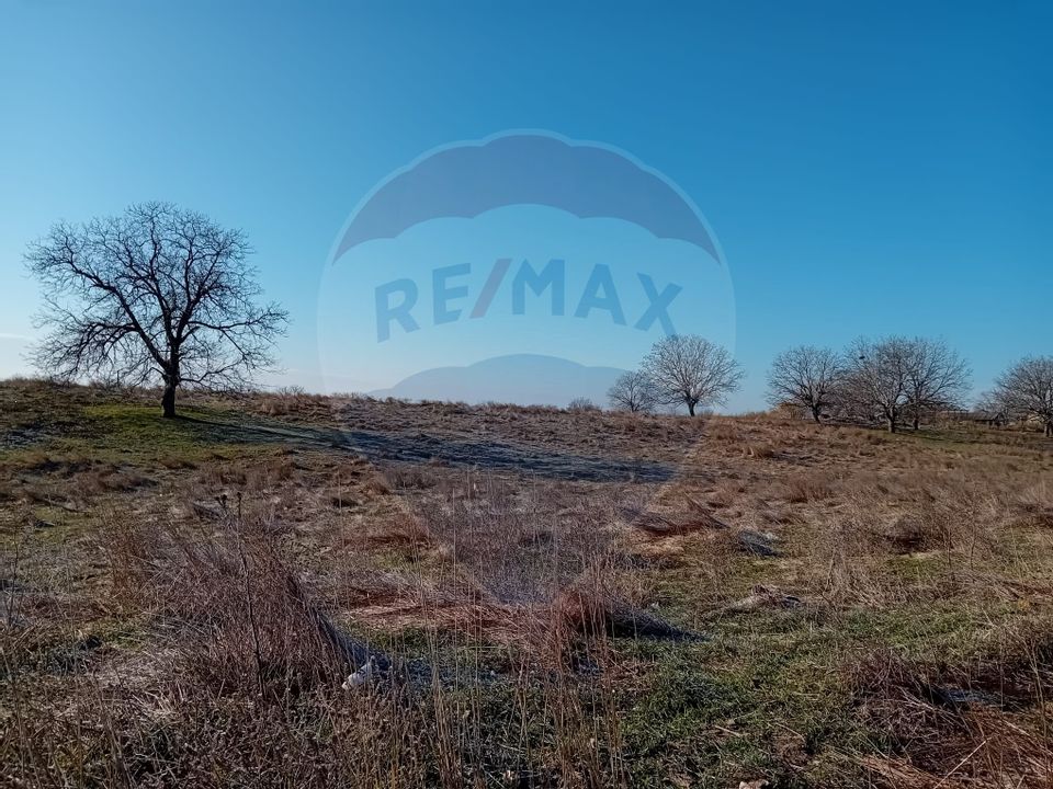 Land 7,000sqm Calafat / Aleea Tarlaua 97, parcela 17