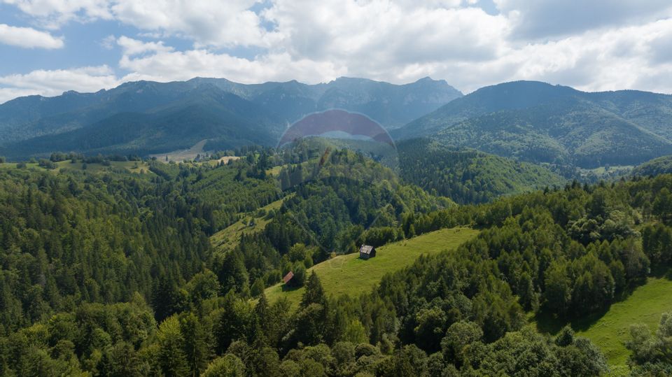 Teren Panoramic in Bran – Vedere spre Bucegi & Piatra Craiului