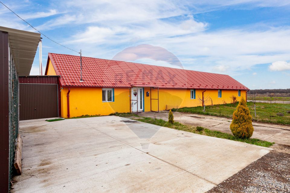 Casă renovată modern cu 3 camere de vânzare Frumușeni Arad