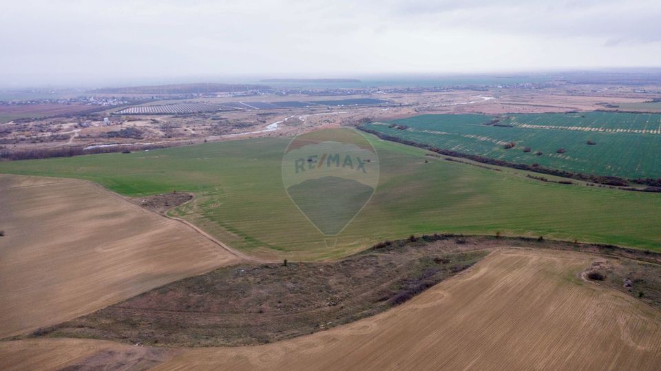 Land 310,000sqm Catunu (Berceni) / Intrarea tarla 17