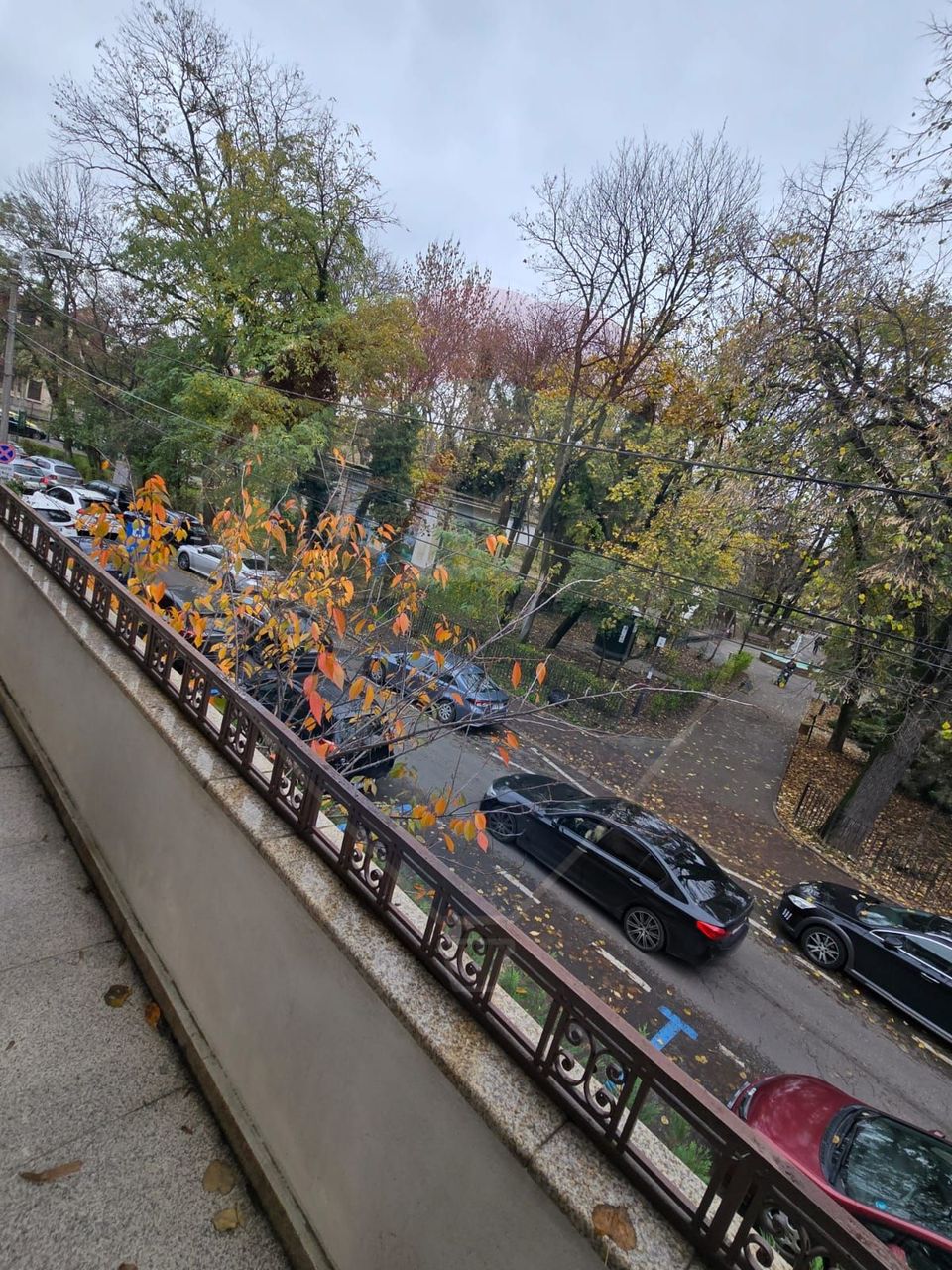 5 room Apartment for rent, Kiseleff area