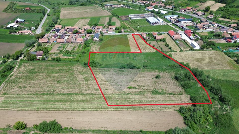 Teren de vânzare – Blăjel, jud. Sibiu | 15.360 mp - partial intravilan