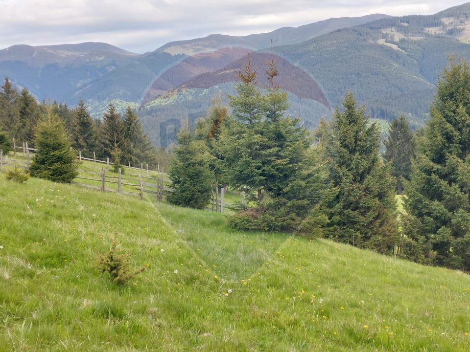 O fereastră către cer – teren de vis în Fundata, la poalele Bucegilor