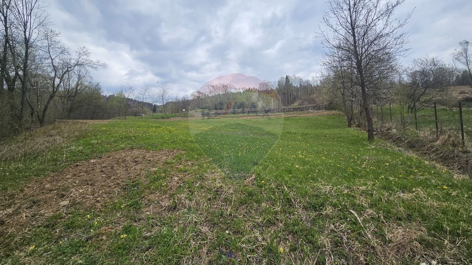 Land 2,910sqm Chiriteni / DN 15