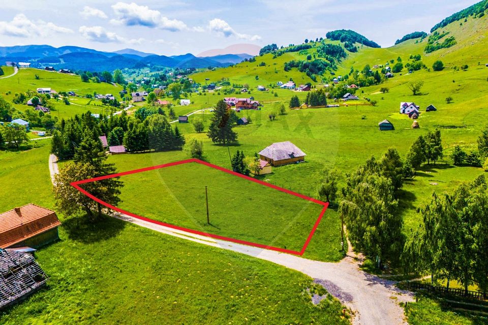 Land 2,687sqm Sirnea / Strada Principala