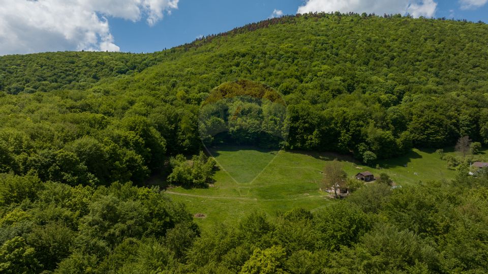 Land 5,310sqm Colonia 1 Mai / None