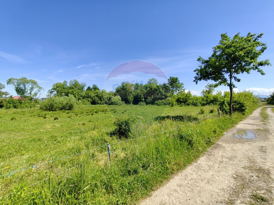 Teren Intravilan de Vanzare în zonă liniștită