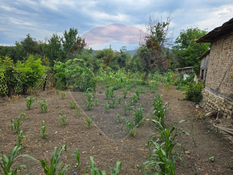 Comision 0! Casa din inima Subcarpaților — comuna Cislau, teren 5000mp