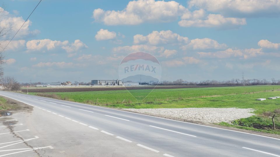 Land 10,000sqm Codlea / Strada Halchiului