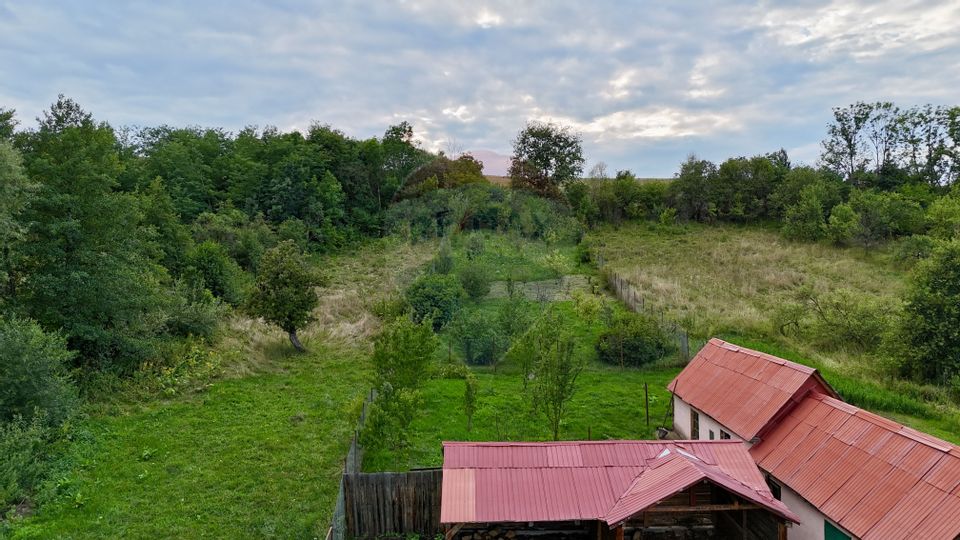 Casă  cu 5 camere de vânzare in Apos