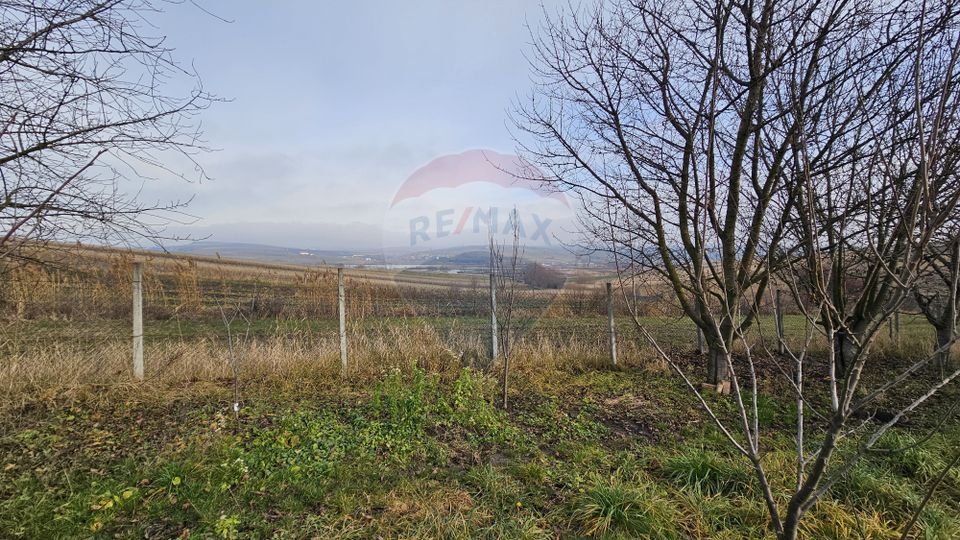 Teren extravilan 10,791mp Falticeni / Strada DJ209A, Opriseni