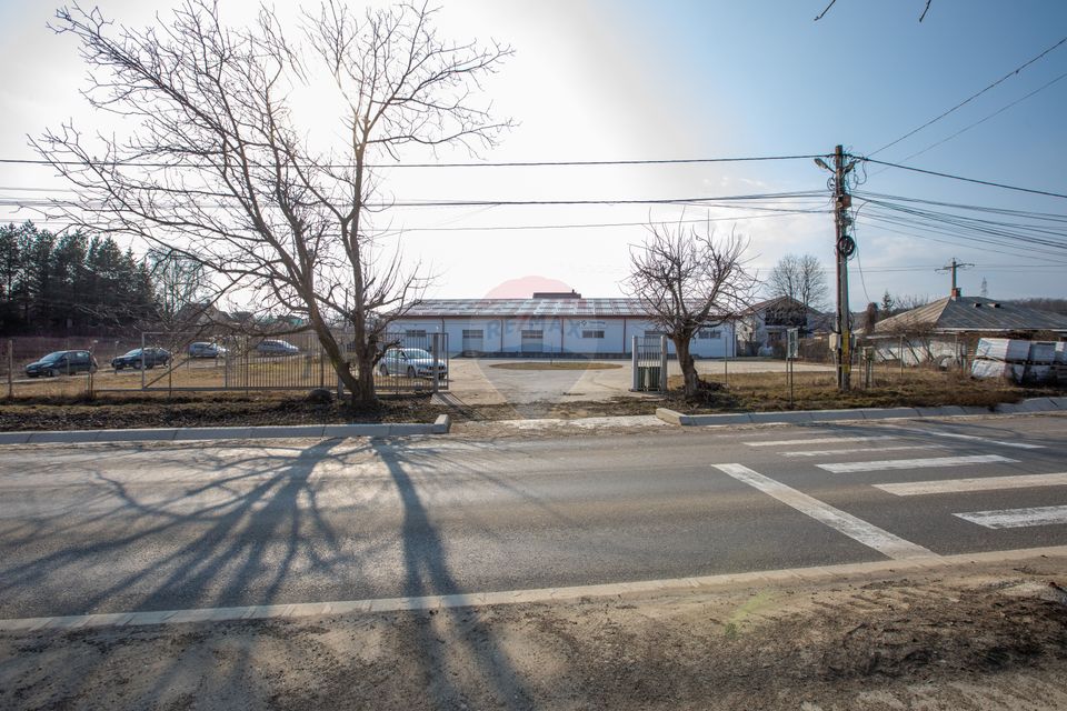 Hală 1.000 mp + curte 3.200 mp + CASĂ 160 mp BONUS | Acces TIR | Bacău