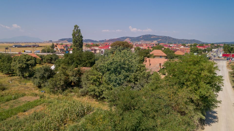 6 room House / Villa for sale