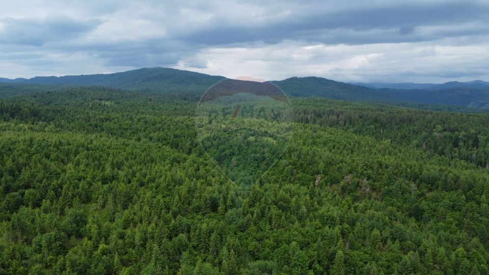 Land 8,119sqm Calatele / Strada Calatele Padure