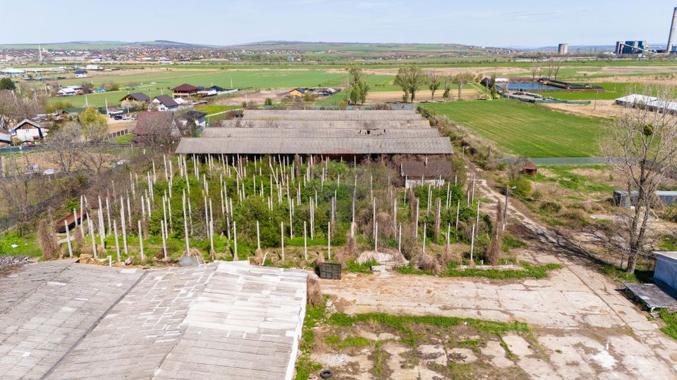 Teren Industrial 3Ha și Hală 1000mp de Vânzare în Tomesti - IAȘI
