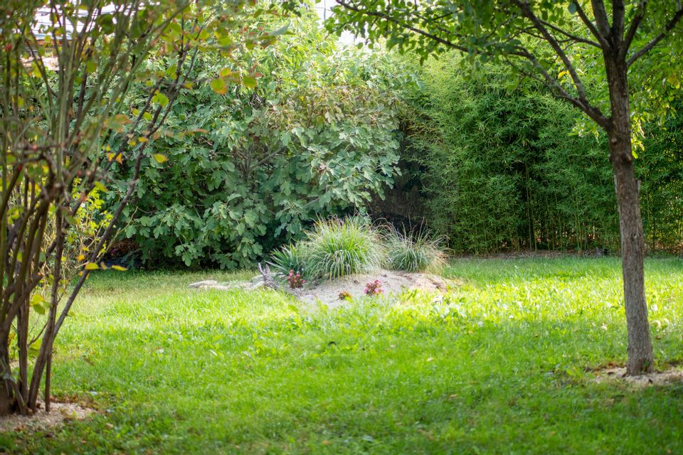 Casă / Vilă cu 10 camere si teren generos, Sos. Salaj