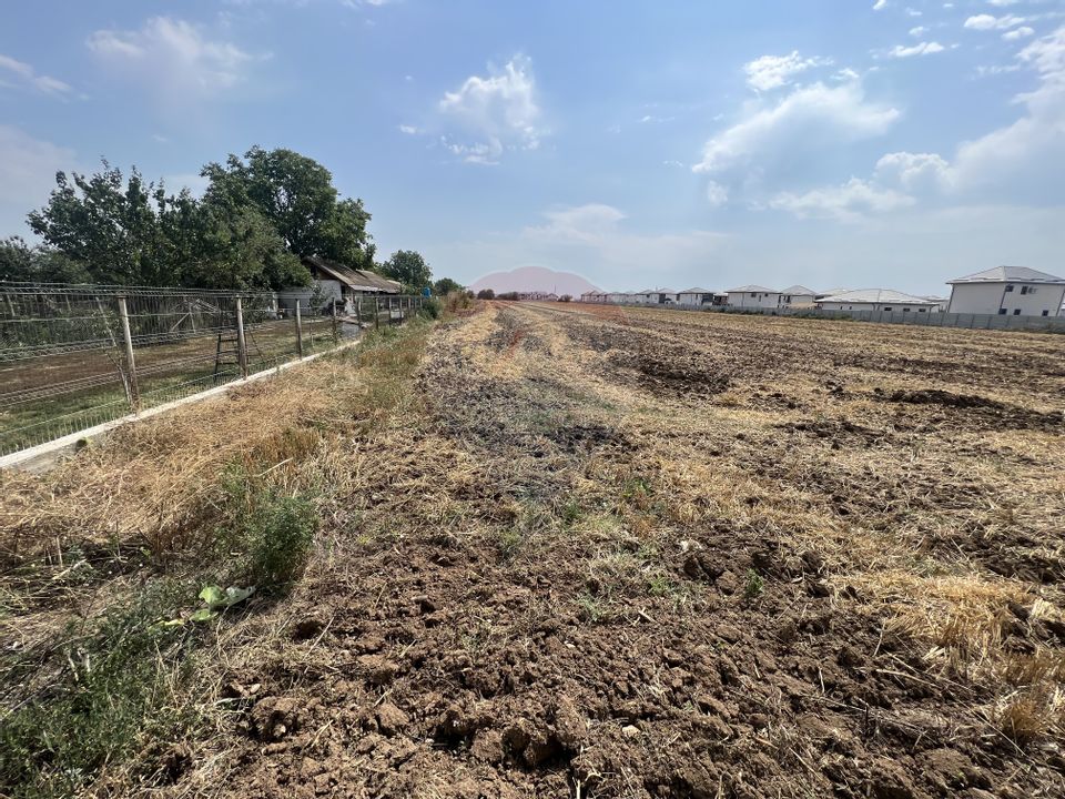 Land 5,085sqm Dragomiresti-Deal / Strada Crizantemelor